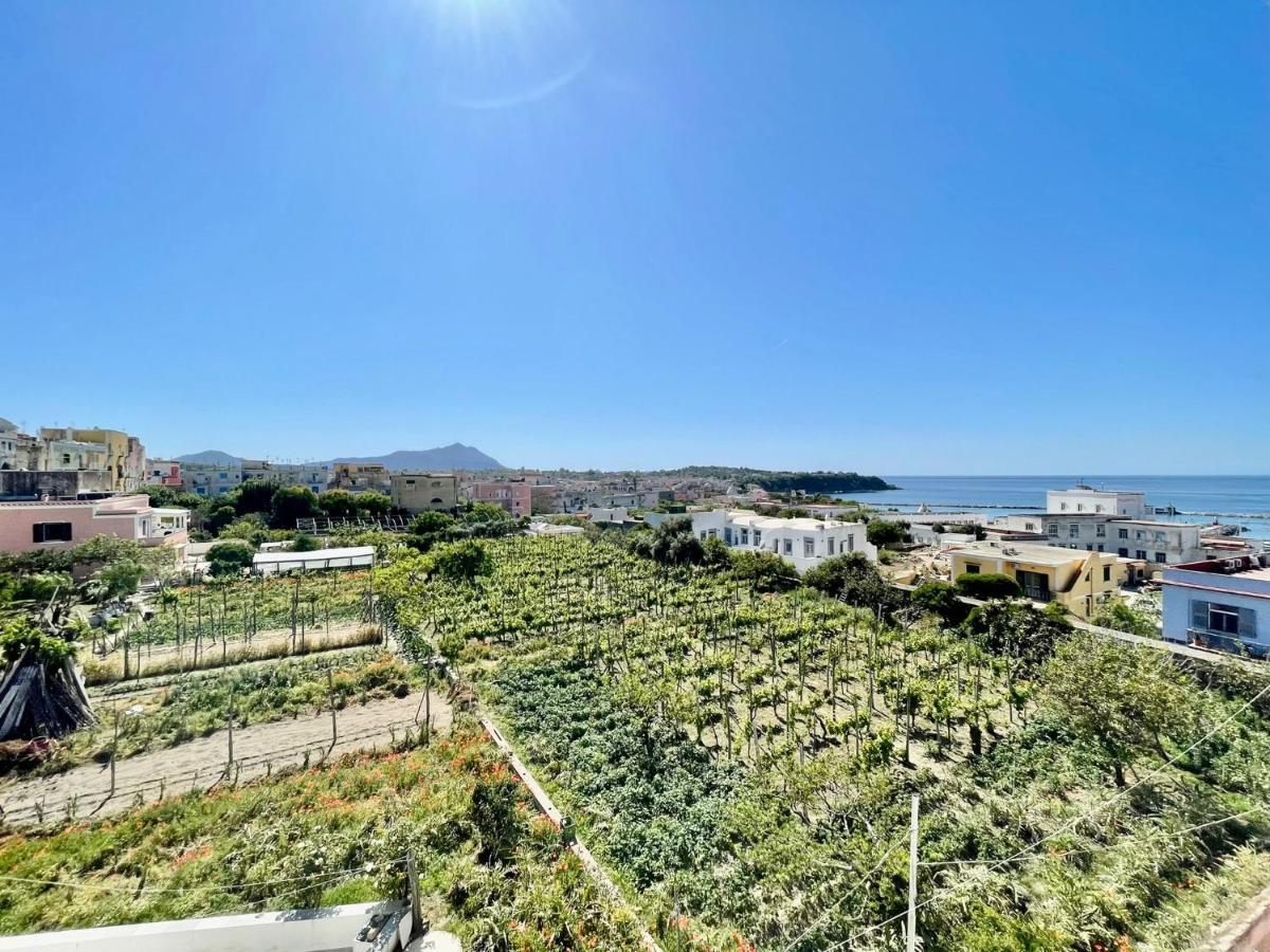普罗奇达La Casa Dei Sogni别墅 外观 照片